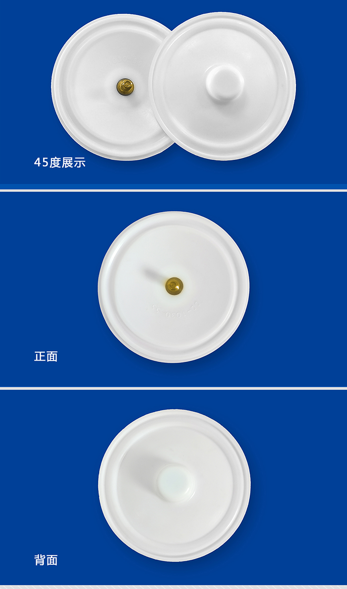 1-帶螺絲隔膜大-產(chǎn)品詳情頁-模板_06