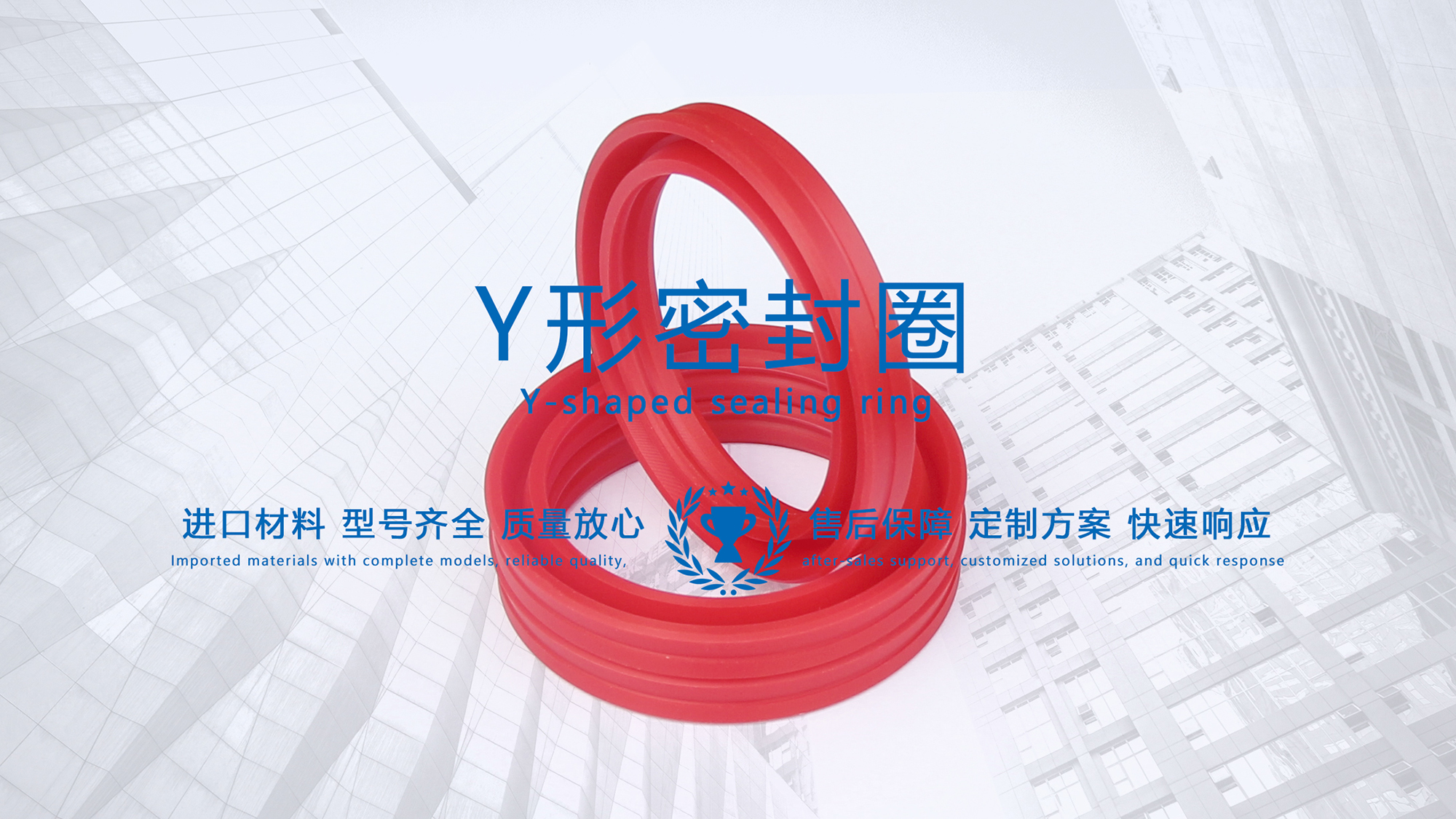 y型密封圈（又Y形密封圈，Y形圈，Y型圖或唇形密封圈，密封件油封膜片） (3)