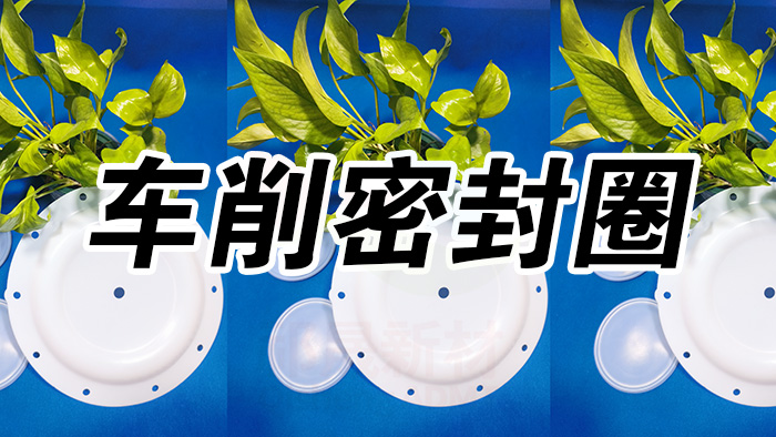 4車削密封圈密封件油封產(chǎn)品大全 副本祁晟 4車削密封圈密封件油封產(chǎn)品大全 副本祁晟